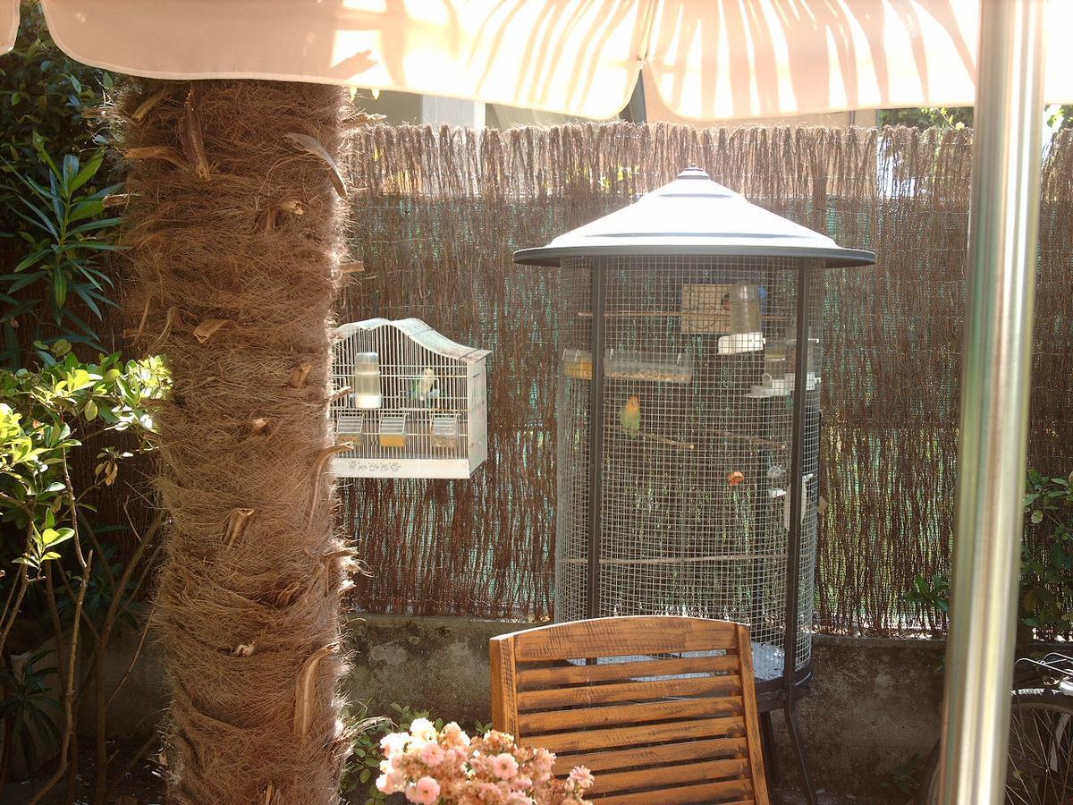 Le Villi FRIENDLY B&B Torre del Lago Puccini Esterno foto
